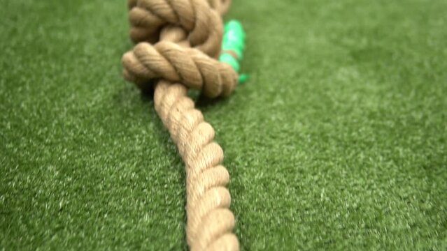 Rope green knot hangman noose grass background suicide gallows penalty, from death depression in punishment from violence end, business close. Nobody despair stress,