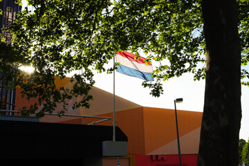 holenderska flaga  - obrazy, fototapety, plakaty