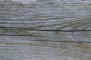 Background texture of old wood.Wood background