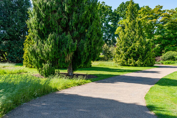 A path through a park