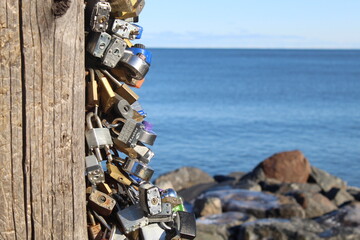 locks on a pole near lake