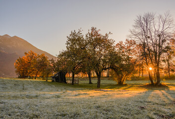 Sunrise in the fields with abandoned cottage on the way.