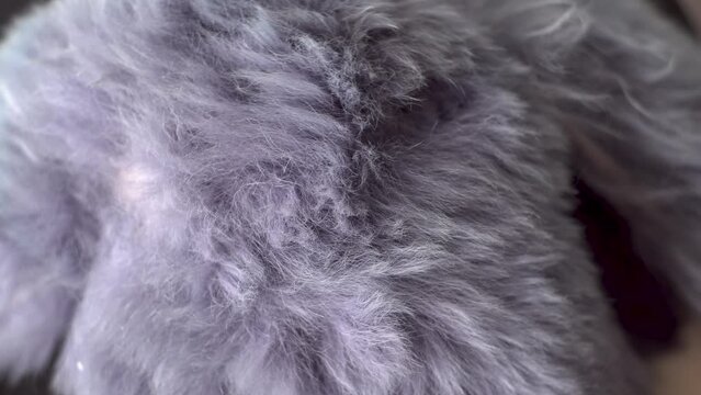 Gray faux fur. Long pile. Children's toy. Piece of clothing. Animal protection. Substitute for natural fur. Fabric production. Close-up. Object rotation.