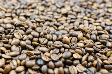 Coffee bean background close-up, bottom view.