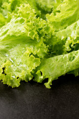 Some fresh green lettuce leaves with copy space