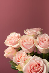 Bouquet of tea roses on a pink background