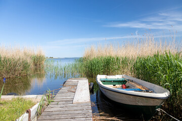 Kleines Ruderboot am Achterwasser auf der Insel Usedom - obrazy, fototapety, plakaty