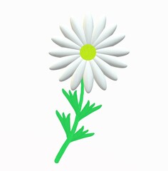 Chamomile on a white background. 3D Render