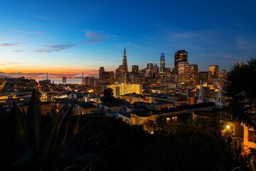 San Francisco skyline panorama at night