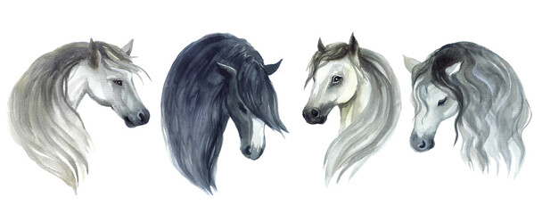 Watercolor horse art. sketching horse style. Champion design element. Farm horse, brown horse, sketch, wild portrait, mamma speed, arabian, stallion, farm mustang, hand drawn paint.