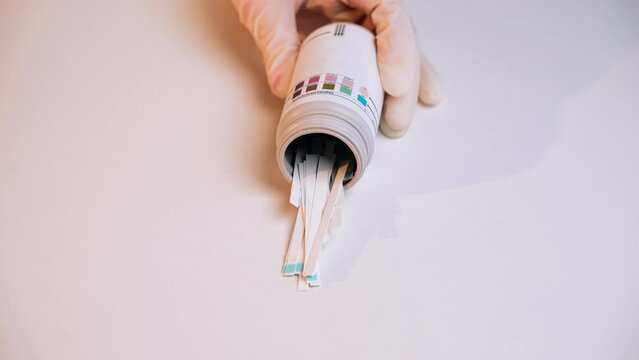 Close-up of hand in disposable medical glove pour out test strips from plastic jar on white background. Strips for urine diagnosis. Test for glucose and acetone. Strips for self-diagnosis. Laboratory