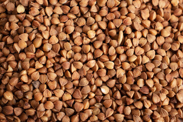 Buckwheat grain background. Agriculture concept.