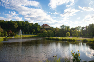Obraz premium A pond in a park in spring sunny day with white cloud.