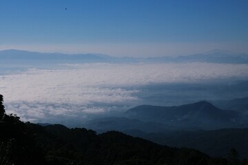 Obraz premium landscape with fog