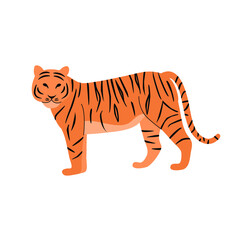 Vector illustration of tiger on a white background. Big cat.