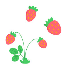 Vector cartoon illustration with strawberry.