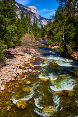 Fototapeta premium Cascading river next to stunning Yosemite mountains surrounded by pine trees