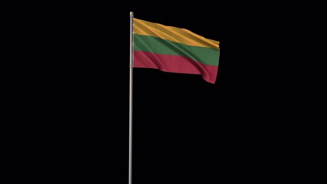 Lithuania flag, 4k video background is transparent
