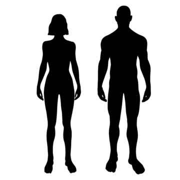 Man and woman standing silhouettes in front view. Vector illustration of body male and female