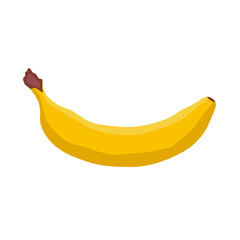 Vector illustration. Banana. Fruit. Yellow banana