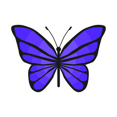 Abstraction. Insects. Vector butterfly. purple butterfly