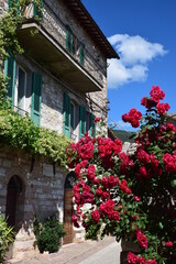 Umbria - Assisi
