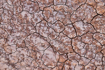 Desert texture asset looking down on cracks in dirt