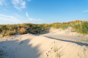 Fototapeta na wymiar Dune beach in warm sunlight