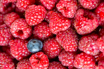 Close up top view of raspberries.
