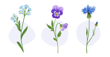 Forget-me-not, cornflower, pansy blooming flowers. Wild plants. Botanical decorative spring elements. Hand drawn flat illustrations, isolated on white background.
