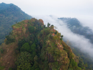 Hill which overgrown with dense of trees in the morning  with misty condition weather. The hill named Menoreh Hill, Central Java, Indonesia