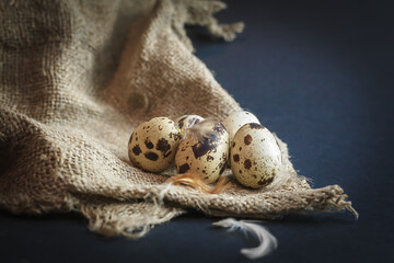 Fresh quail eggs on a dark background