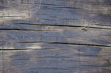 Fototapeta premium Autumn wooden background. A perfect rustic and grunge wallpaper for your products. 