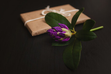 Purple azalea flower with a gift in craft packaging