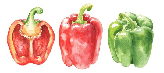 Set of red and green peppers on white background. Food vegetables illustration.