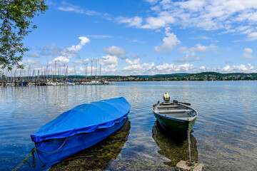 Obraz premium Reichenau, Insel Reichenau, Bodensee, Seeufer, Wasservögel, Naturschutz, Uferweg, Wanderweg, Boote, Fischerboote, Yachthafen, Sommer, Baden-Württemberg, Deutschland