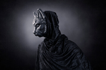 Fototapeta na wymiar Black cat in hooded cloak at night over dark misty background