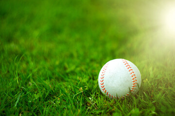 A white baseball ball in the green grass.A clean place for photos.Summer ball games.The beginning of the championship.Sports games.