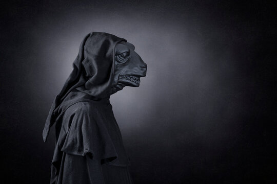 Reptile in hooded cloak at night over dark misty background