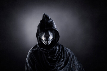 Reptile in hooded cloak at night over dark misty background