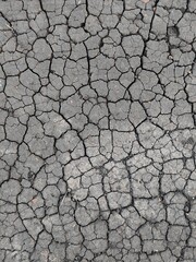 Dry cracked soil texture and background of ground. dried ground covered with cracks. background for design