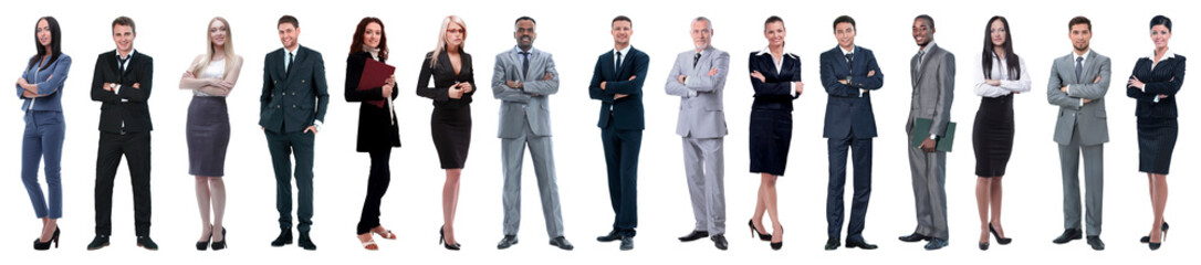Young attractive business people - the elite business team