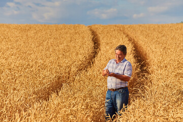 Happy farmer proudly standing in wheat field. Agronomist wearing corporate uniform, looking at...