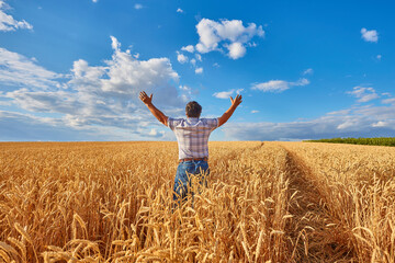 An adult man in a farm field among ripe cereals and raised his arms to the sides.
