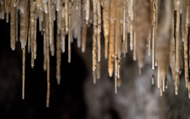 Close up of soda straw formations in underground cave where ground water leaves small deposits of...