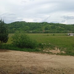 landscape with road