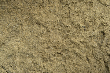 The background is old plaster, concrete, clay. The texture of the old wall. Space for text.