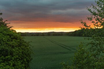 The sun sets behind a hill of trees making the gorgeous orange sky look like it is on fire as the clouds roll on by 