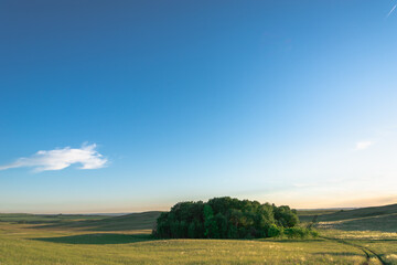 Field and trees in the center.