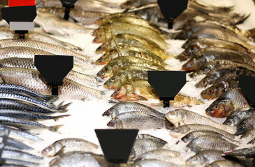 fresh fish seafood in supermarket